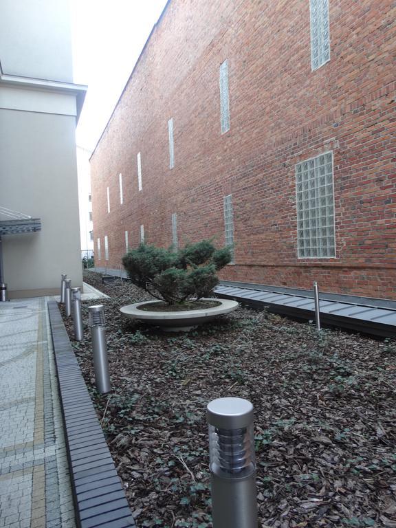 Black&white Apartment- Wierzbowa 5 *